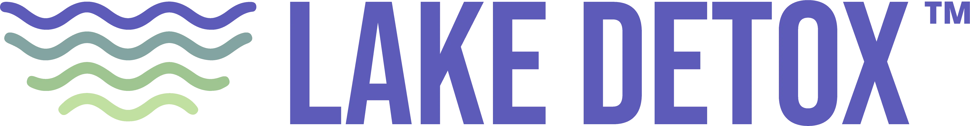 Lake Wellness Center New Roads logo